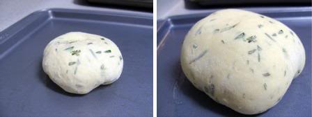 Wee Little Loaf, before and after the 2nd Rise