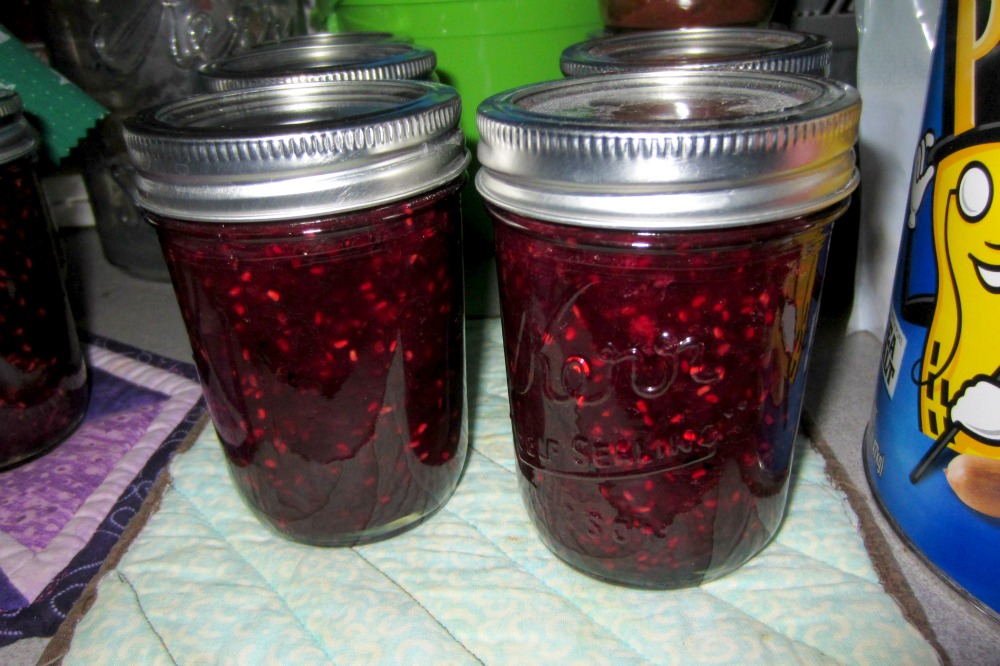 Triple Berry Jam